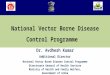 National Vector Borne Disease Control Programme Dr. Avdhesh Kumar Additional Director National Vector Borne Disease Control Programme Directorate General