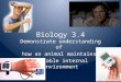 Biology 3.4 Demonstrate understanding of how an animal maintains a stable internal environment
