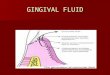 GINGIVAL FLUID. Permeability of JE & SE Permeability of JE & SE Role of GCF, Leucocyte & Saliva Role of GCF, Leucocyte & Saliva