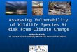 Assessing Vulnerability of Wildlife Species At Risk From Climate Change Deborah Finch US Forest Service Rocky Mountain Research Station