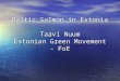 Baltic Salmon in Estonia Taavi Nuum Estonian Green Movement - FoE