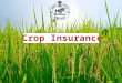 Insurance programme on “Individual” Approach (1972-78). Pilot Crop Insurance Scheme (PCIS, 1979-84) Comprehensive Crop Insurance Scheme (CCIS 1985-1999)