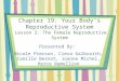 Chapter 19: Your Body’s Reproductive System Lesson 2: The Female Reproductive System Presented By: Nicole Pierson, Ciera Galbraith, Camille Bernot, Joanne