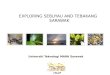 ETourP Universiti Teknologi MARA Sarawak EXPLORING SEBUYAU AND TEBAKANG SARAWAK