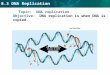 8.3 DNA Replication Topic: DNA replication Objective: DNA replication is when DNA is copied. nucleotide The DNA molecule unzips in both directions