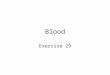 Blood Exercise 29. Composition of whole blood Typical Erythrocyte