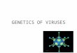 GENETICS OF VIRUSES. The Basics Compare the size! Two basic components: – A diverse genome ssDNA dsDNA (Smallpox) ssRNA (Measles) dsRNA – Capsid/Envelope
