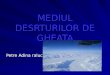 MEDIUL DESRTURILOR DE GHEATA Petre Adina raluca. - Caracteristici generale - - Caracteristici generale - Al saptelea continent ca marime, al Terrei, Antarctica