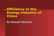 Efficiency in the Energy Industry of China By Shereen McCurter