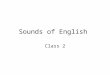 Sounds of English Class 2. Sounds of English Consonants: first, the stops: b as in bat, sob, cubby d as in date, hid, ado g as in gas, lag, ragged p as