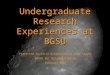 Undergraduate Research Experiences at BGSU Presented by Katie Guldenschuh & Andy Layden BRAVO BG! Orlando Florida February 2005