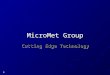 MicroMet Group Cutting Edge Technology Corporate Structure Product Divisions: Environment Systems Division: MicroMet-ESD Industrial Systems Division