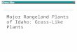 Grass-like : Major Rangeland Plants of Idaho: Grass-Like Plants