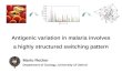 Antigenic variation in malaria involves a highly structured switching pattern Mario Recker Department of Zoology, University of Oxford