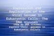 Expression and Replication of the Viral Genome in Eukaryotic Cells: The DNA Viruses (How do DNA viruses express their genomes in Eukaryotic cells?)