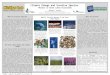 Climate Change and Invasive Species: Threats to Great Lakes Ecosystems Andrew T. Kozich Michigan Technological University School of Forest Resources and