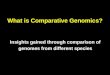 What is Comparative Genomics? Insights gained through comparison of genomes from different species