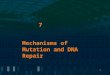 7 Mechanisms of Mutation and DNA Repair. Mutations Spontaneous mutation : occurs in absence of mutagenic agent Rate of mutation: probability of change