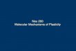 Neu 200 Molecular Mechanisms of Plasticity. Biochemical Basis of LTP