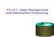 CS 317 - Data Management and Information Processing