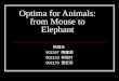 Optima for Animals: from Mouse to Elephant 物理系 902167 陳慶源 902143 林柏村 902170 章宏志