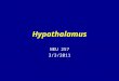 Hypothalamus NEU 257 3/3/2011. The diencephalon “between brain” Posterior part of embryonic forebrain Lies between brainstem and cerebral hemispheres