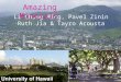 Rocks & Minerals Li Chung Ming, Pavel Zinin Ruth Jia & Tayro Acousta Amazing Minerals