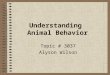 Understanding Animal Behavior Topic # 3037 Alyson Wilson