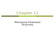 Chapter 11 Managing Employee Diversity. Learning Objectives After reading this chapter, you should be able to:  Explain the meaning and benefits of