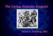 The Living Anatomy Program David A. Fineberg, MD