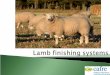 Overview of lamb finishing systems for early and mid season lambing flock  Overview of store lamb finishing systems  Be aware of the range of feeding