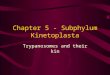 Chapter 5 - Subphylum Kinetoplasta Trypanosomes and their kin