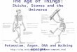 The Age of Things: Sticks, Stones and the Universe Potassium, Argon, DNA and Walking Upright mmhedman/compton1.html