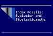 Index Fossils: Evolution and Biostratigraphy. Evolution  Variations exist within a population  Result from mutations and other genetic accidents  Some