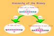 Hierarchy of the Binary Models r=nr=nk=rk=r k-out-of-r-from-n:F r n Consecutive k-out-of-n k n n k-out-of-n:F