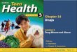 Chapter 14 Drugs Lesson 1 Drug Misuse and Abuse >> Main Menu Next >> >> Chapter 14 Assessment Click for: Teacher’s notes are available in the notes section