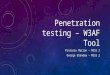 Penetration testing – W3AF Tool Pinzariu Marian – MISS 2 George Blendea – MISS 2