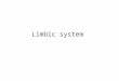 Limbic system. Limbic system from Latin limbus, means "border" or "belt„ Functions: emotion, behavior, long-term memory, olfactionLatin Cortical region