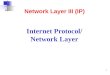 1 Internet Protocol/ Network Layer Network Layer III (IP)