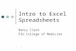 1 Intro to Excel Spreadsheets Nancy Clark FSU College of Medicine