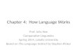 Chapter 4: How Language Works Prof. Julia Nee Comparative Linguistics Spring 2014, LaSalle University Based on The Language Instinct by Stephen Pinker