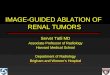 IMAGE-GUIDED ABLATION OF RENAL TUMORS Servet Tatli MD Associate Professor of Radiology Harvard Medical School Department of Radiology Brigham and Women’s