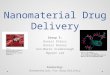 Nanomaterial Drug Delivery Group 5: Daniel Ehlers Daniel Barnes Ann-Marie Scarborough Nguyen Lam Featuring: Nanomaterials For Drug Delivery