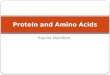 Equine Nutrition Protein and Amino Acids. Introduction Protein is a major component of most body tissues including: Muscle Bone Cartilage Tendons and