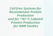 Cell-free Systems for Recombinant Protein Production and for 15 N/ 13 C Labeled Protein Production for NMR Studies