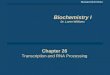 Chapter 26 Transcription and RNA Processing Chapter 26 Transcription and RNA Processing Revised 04/17/2014 Biochemistry I Dr. Loren Williams Biochemistry