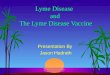 Lyme Disease and The Lyme Disease Vaccine Presentation By Jason Hadrath