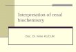 Interpretation of renal biochemistry Doc. Dr. Mine KUCUR