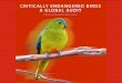 A State of the world’s birds report Critically Endangered birds: a global audit