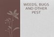 WEEDS, BUGS AND OTHER PEST. Vertebrate Pest: organisms with backbones Includes fish, amphibians, reptiles, birds and mammals. Most damaging to crops are